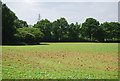 Field south of Colestock Crossroads