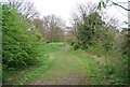 Royal Military Canal Path