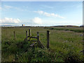 Footpath across Seaton Snook