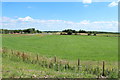 Farmland at Carrutherstown