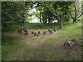 Planted logs at Needham Lake