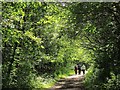 SK0497 : Longdendale Trail near Higher Deepclough by Derek Harper