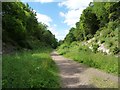 SU6423 : Meon Valley Trail, looking south-west by Christine Johnstone