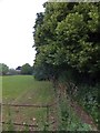 Footpath east of Wickham Market church