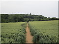 Footpath to Thorpe Salvin