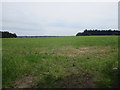 View from Crossley Hill Wood