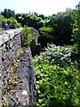 Cyclist crosses Hermitage Bridge