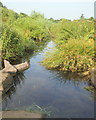 Valley Road Park, Nottingham NG5