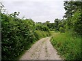 Bridleway from Mare Lane to Hazeley Road