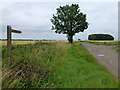 TL2579 : Track and footpath near Little Raveley by Richard Humphrey