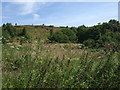 Hulme Quarry National Nature Reserve