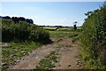 Field entrance near Trewoon