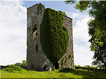 M3041 : Castles of Connacht: Ballinduff, Galway (2) by Mike Searle