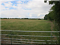 Grass field by Brocking Farm