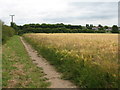 Field of barley and footpath to Waddicar