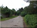 TM4660 : Track, part of Sandlings Walk, near Thorpeness by David Smith