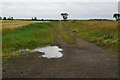 Bridleway off Kexby Road