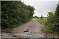 Track leading to Low Field Farm