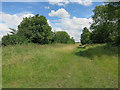 Footpath to Wimbish Hall