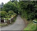 Lane to Gelligoediog Riding Stables, Manmoel