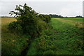 The River Till from Glentworth Road