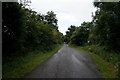 Willingham Road towards Marton