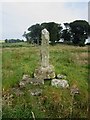 Medieval cross at North Charlton