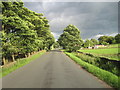 Fulwood Lane, Ringinglow