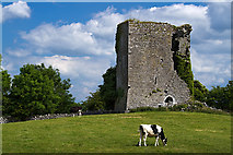M5016 : Castles of Connacht: Mannin, Galway (2) by Mike Searle