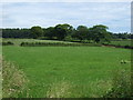 Farmland north of Old Roman Road