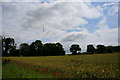 Farm land at Ingham Cliff