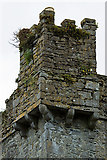M8719 : Castles of Connacht: Ballymore, Galway - detail (3) by Mike Searle