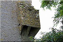 M8719 : Castles of Connacht: Ballymore, Galway - detail (4) by Mike Searle
