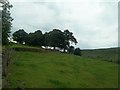 SK1586 : Pasture at Edale End by Jonathan Clitheroe
