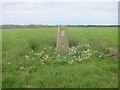 Trig point near Brunt Farm