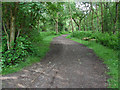 Path to Newlands Corner