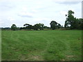 Farmland near White House