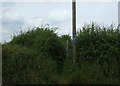 Footpath off Long Lane