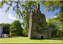 M8062 : Castles of Connacht: Castlecoote, Roscommon (8 of 10) by Mike Searle