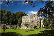 M8062 : Castles of Connacht: Castlecoote, Roscommon (10 of 10) by Mike Searle