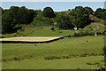 SD3199 : Farmland Near Yew Tree Farm by Peter Trimming