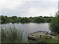 TQ5085 : Tom Thumb Lake, Eastbrookend Country Park by Roger Jones
