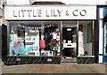 Little Lily & Co