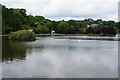 The boating lake at Helston