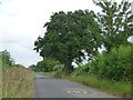 End of the 30 mph limit, Pound Road