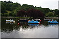 Seagulls enjoying the boating facilities