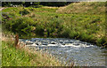 Rapids on the River Mersey