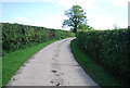 Sussex Border Path to Denne Farm