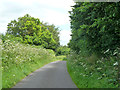 Hook Lane, Ropley