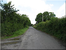 N4217 : Minor road to Killeigh by David Purchase